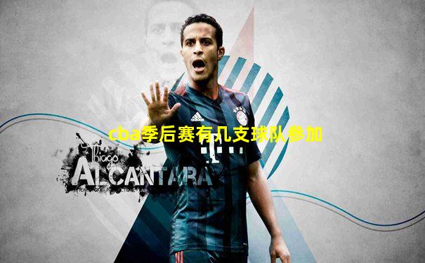 cba季后赛有几支球队参加