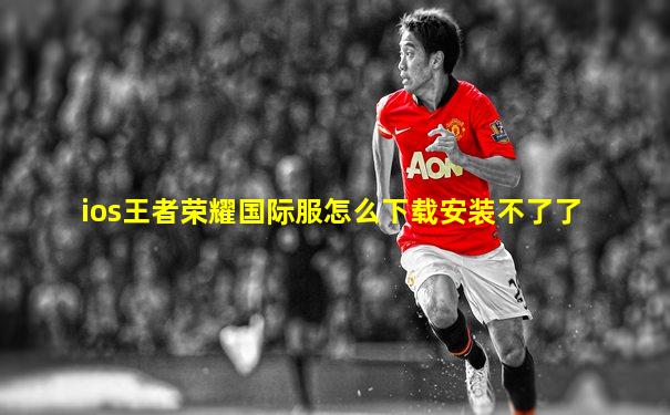 ios王者荣耀国际服怎么下载安装不了了