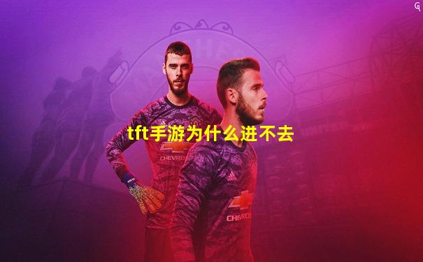 tft手游为什么进不去