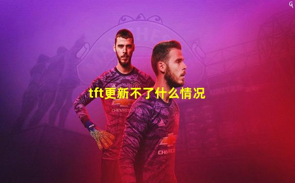 tft更新不了什么情况