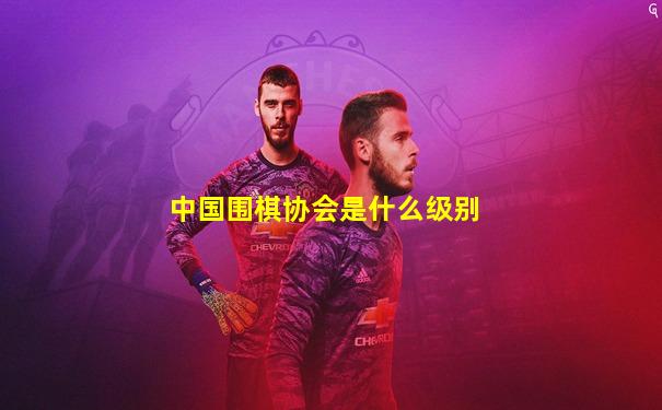 中国围棋协会是什么级别