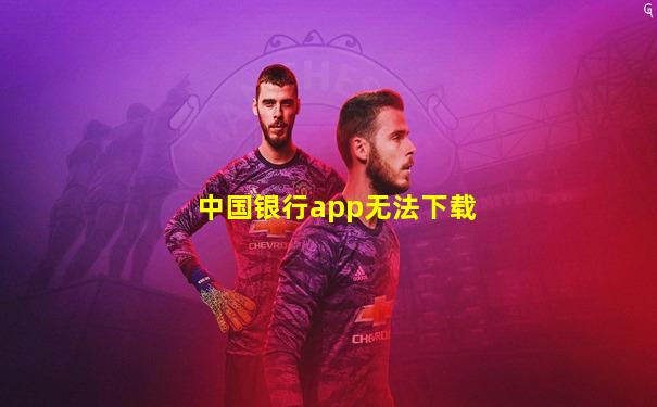 中国银行app无法下载