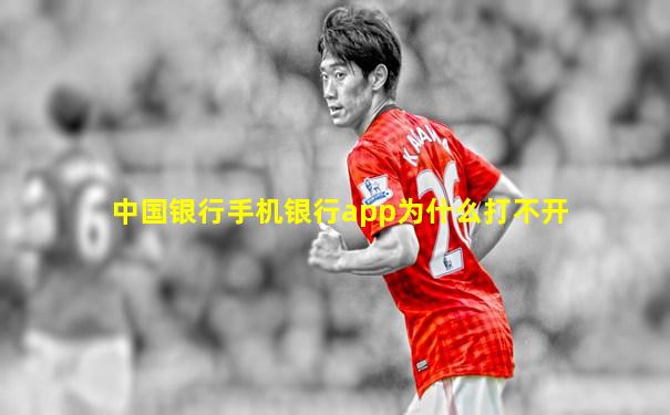 中国银行手机银行app为什么打不开