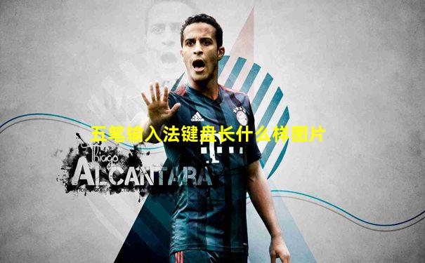 五笔输入法键盘长什么样图片