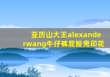 亚历山大王alexanderwang牛仔裤屁股兜印花