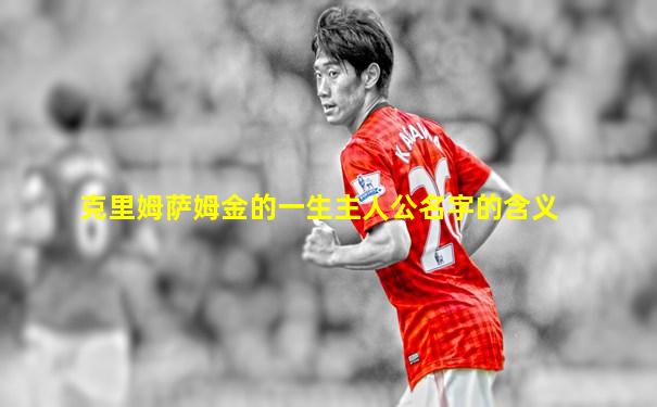 克里姆萨姆金的一生主人公名字的含义