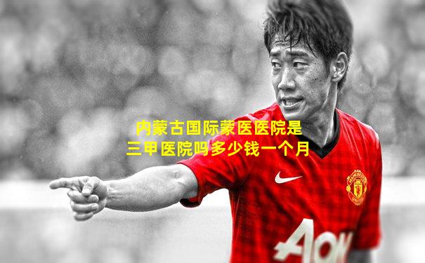 内蒙古国际蒙医医院是三甲医院吗多少钱一个月