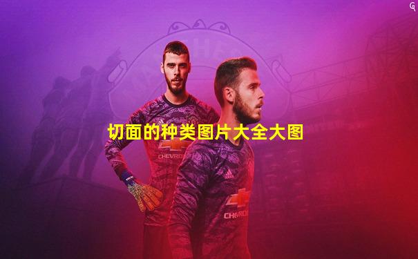 切面的种类图片大全大图