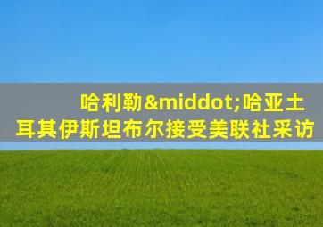 哈利勒·哈亚土耳其伊斯坦布尔接受美联社采访