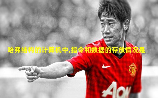 哈弗结构的计算机中,指令和数据的存放情况是