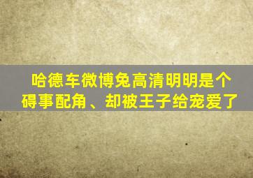 哈德车微博兔高清明明是个碍事配角、却被王子给宠爱了