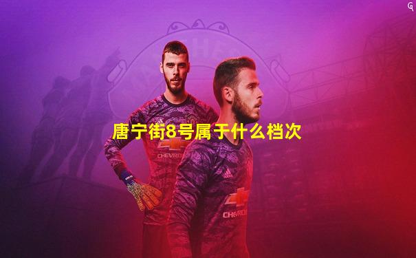 唐宁街8号属于什么档次