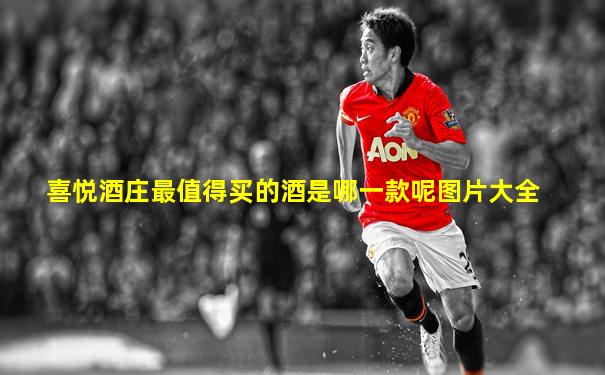 喜悦酒庄最值得买的酒是哪一款呢图片大全