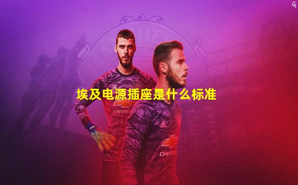 埃及电源插座是什么标准