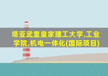 塔亚武里皇家理工大学,工业学院,机电一体化(国际项目)