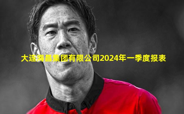 大连海昌集团有限公司2024年一季度报表