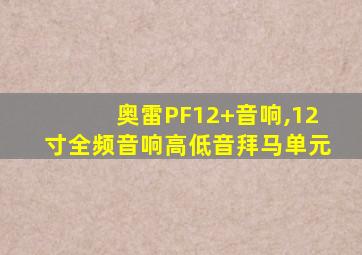 奥雷PF12+音响,12寸全频音响高低音拜马单元