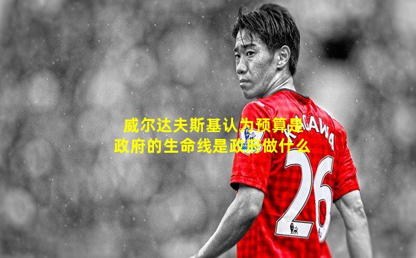 威尔达夫斯基认为预算是政府的生命线是政府做什么