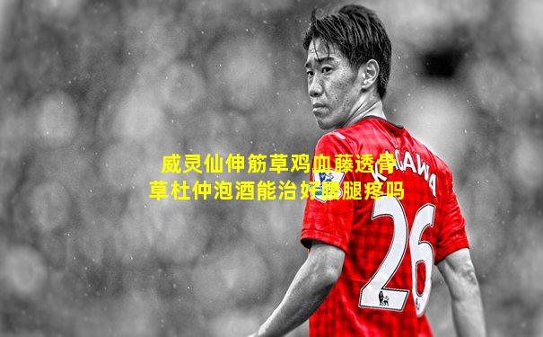 威灵仙伸筋草鸡血藤透骨草杜仲泡酒能治好腰腿疼吗