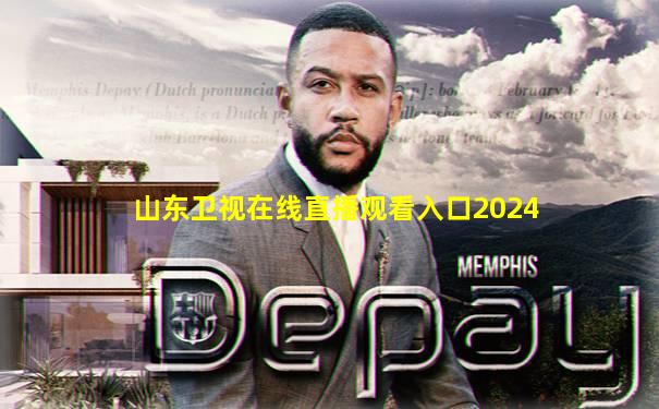 山东卫视在线直播观看入口2024