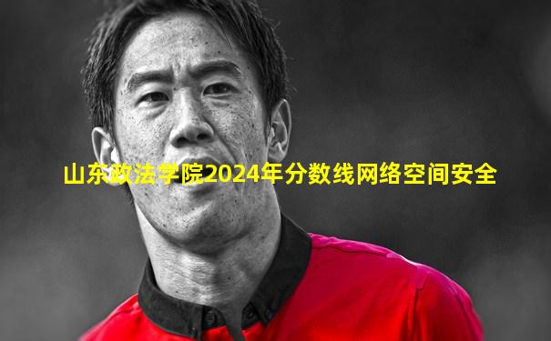 山东政法学院2024年分数线网络空间安全