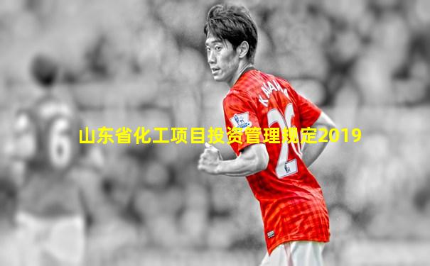 山东省化工项目投资管理规定2019