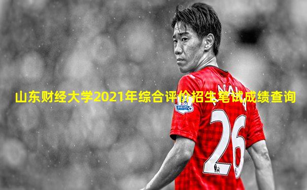 山东财经大学2021年综合评价招生笔试成绩查询