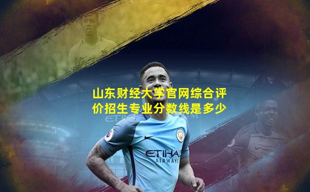 山东财经大学官网综合评价招生专业分数线是多少