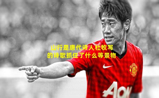 山行是唐代诗人杜牧写的诗歌抓住了什么等景物