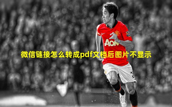 微信链接怎么转成pdf文档后图片不显示