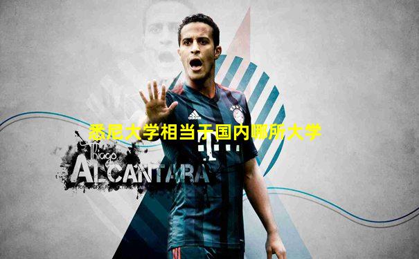 悉尼大学相当于国内哪所大学