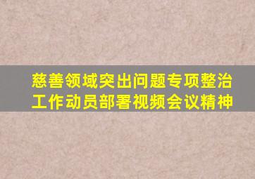 慈善领域突出问题专项整治工作动员部署视频会议精神