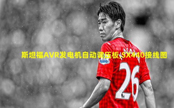 斯坦福AVR发电机自动调压板,SX440接线图