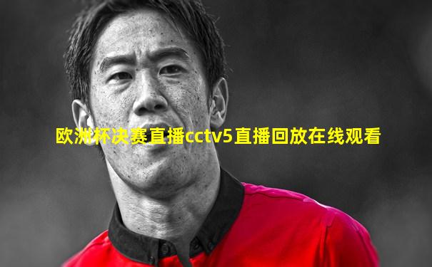 欧洲杯决赛直播cctv5直播回放在线观看