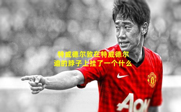 特威德尔敦在特威德尔迪的脖子上挂了一个什么