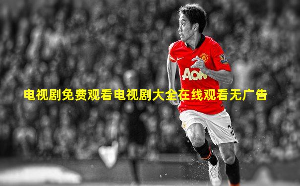 电视剧免费观看电视剧大全在线观看无广告