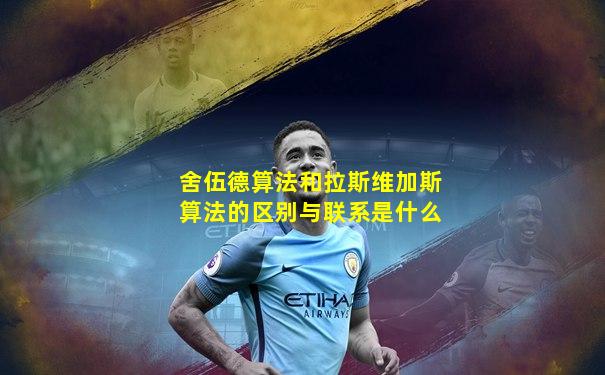 舍伍德算法和拉斯维加斯算法的区别与联系是什么