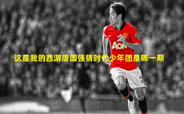这是我的西游唐国强猜时代少年团是哪一期