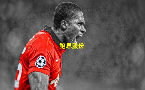 鲍思股份