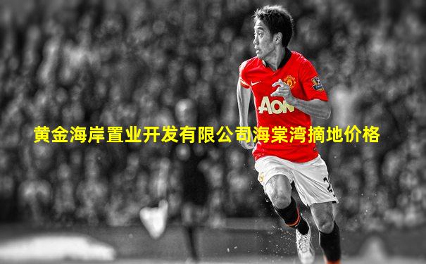 黄金海岸置业开发有限公司海棠湾摘地价格
